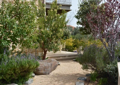 האביב כבר כאן