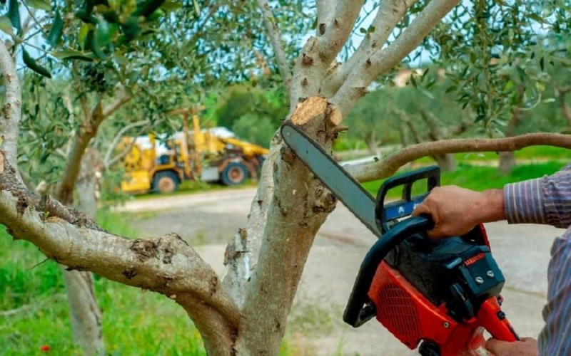9 דרכים מעשיות לשדרג את החצר