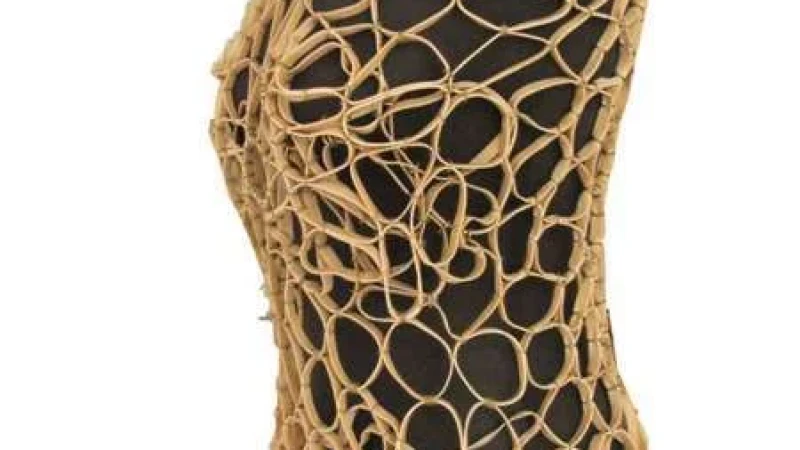 יוצאים לשטח - עבודות בוגרים 2010