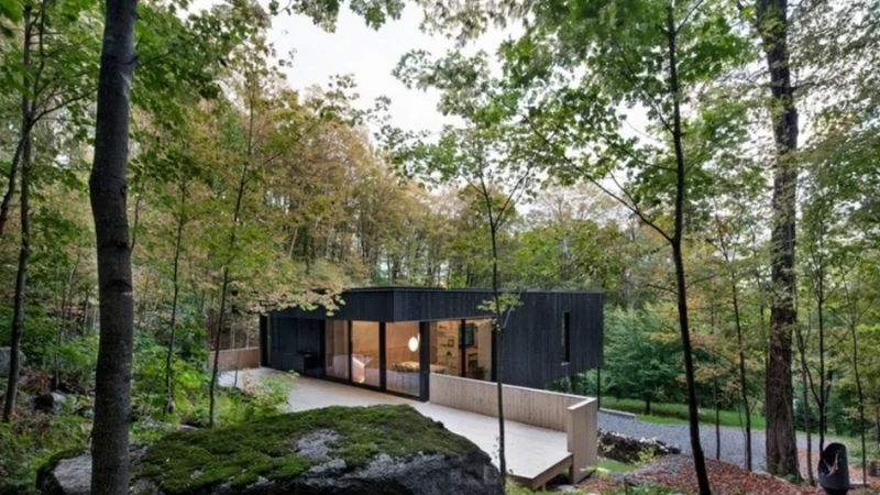 "בית הסלע" בקנדה: מחבוא בין עצי האדר