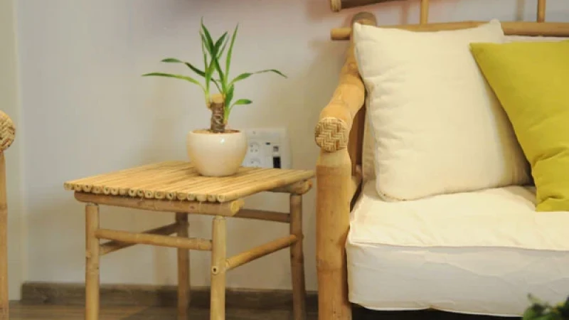 להגשים את החלום להיות מעצבת פנים בגיל 40 פלוס