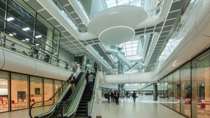 גלגלי הצלחה