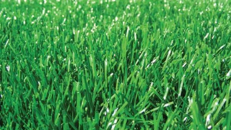 עיצוב גינות סינטטיות