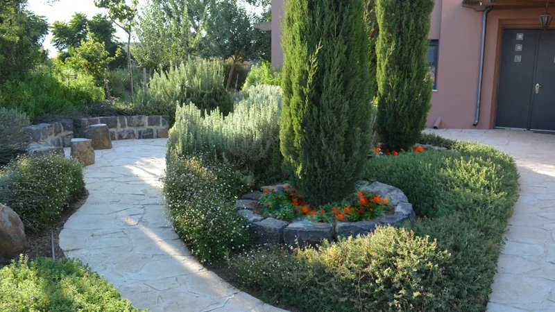 בגליל, מול הנוף