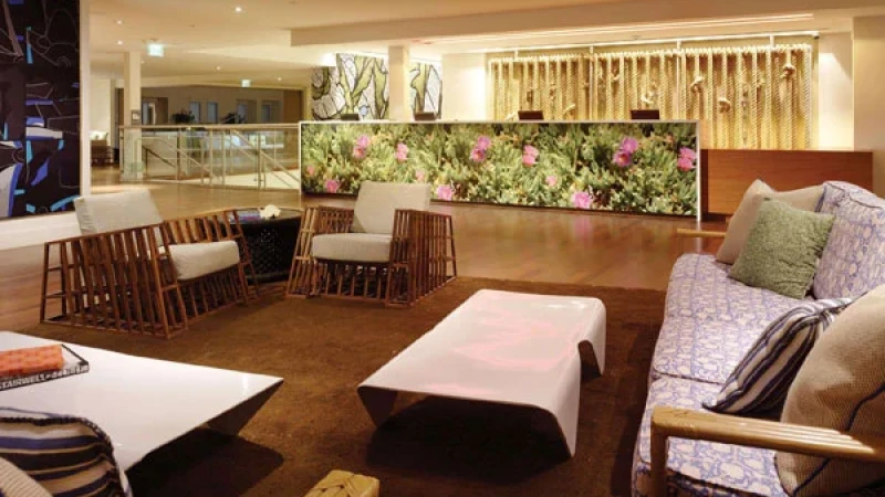 הכירו את המלונאי צ'יפ קונלי