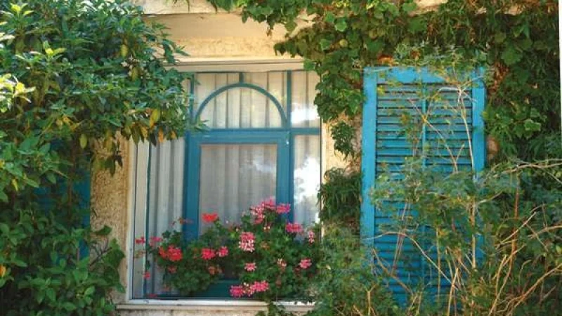 גינה מחוברת לשורשים