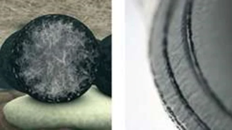 חומרים חדשים - 117