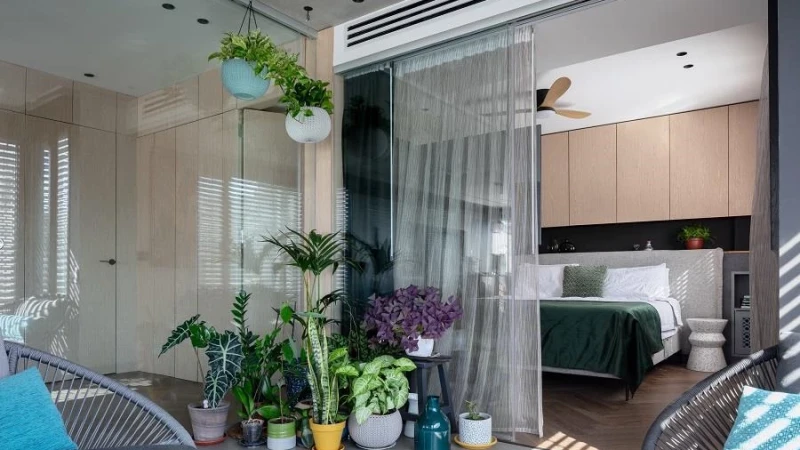 אהבה ממבט ראשון