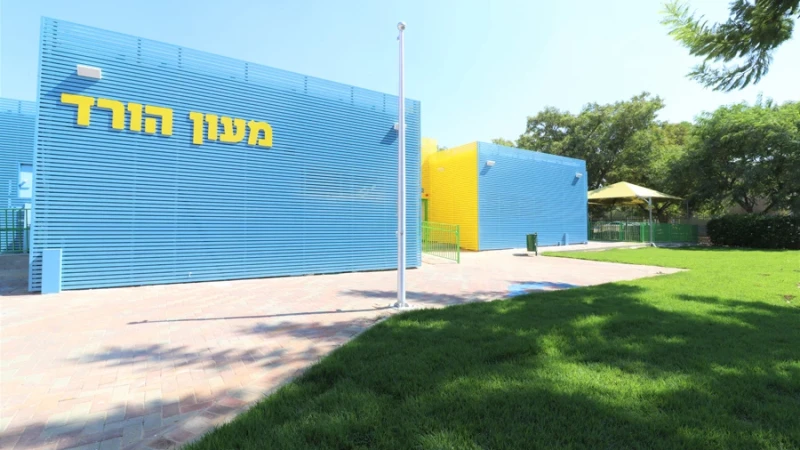 מלכי לוין: עושה בית ספר לגני ילדים