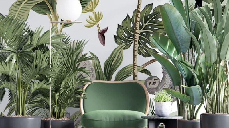 קירות מתעוררים לחיים