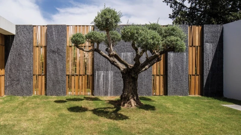 מעטפת המבנה – פנים וחוץ