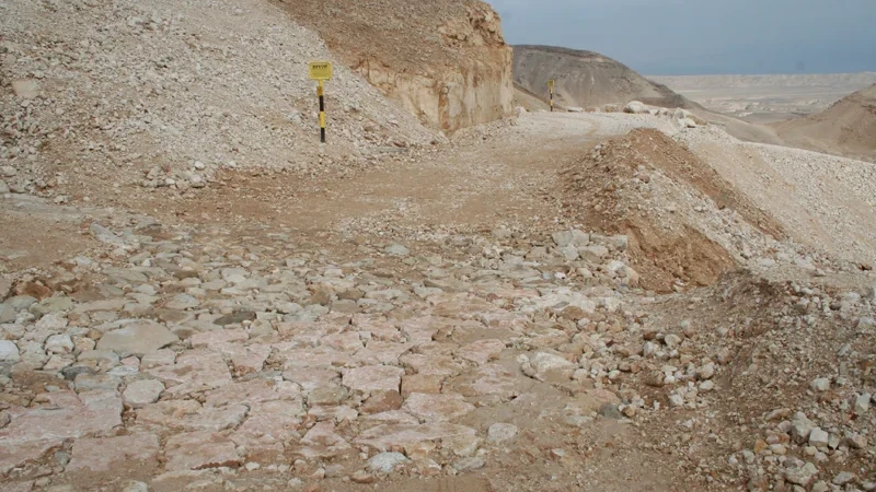 גם מניחים תשתיות וגם דואגים למערכות האקולוגיות