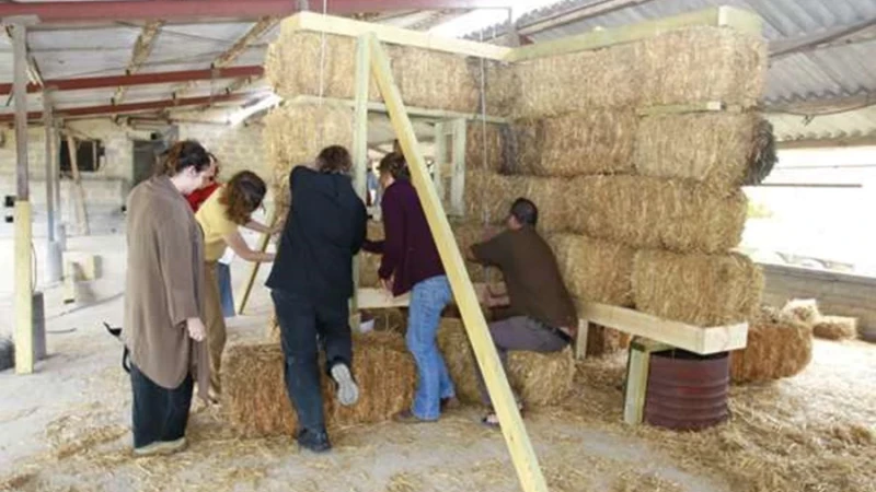 עיצוב בתים ובניה טבעית