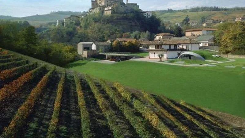 דרך היין - יקבים מעוצבים בפיימונטה