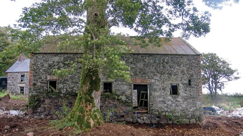 מלאו אסמינו... עיצוב חדש