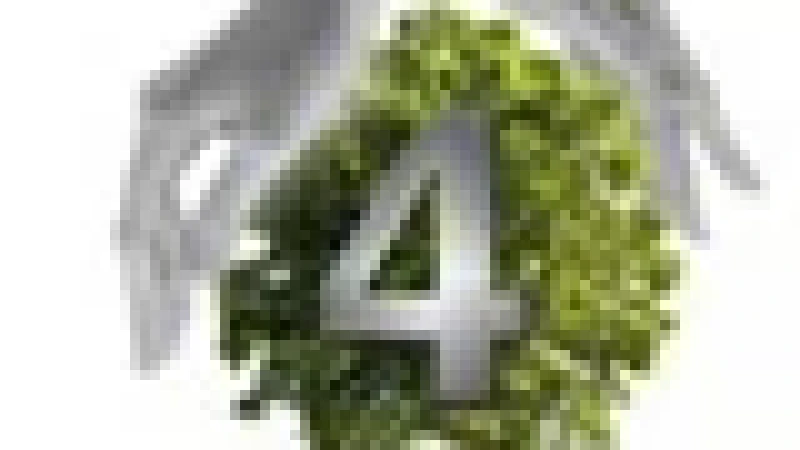 אדריכלות הנוף מגדירה מחדש את היחס בין אדם לסביבה