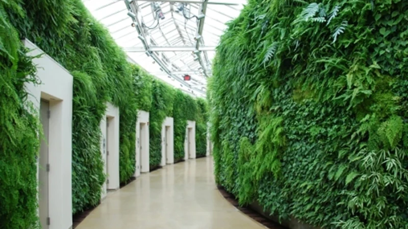 על תחרות תאי השירותים המעוצבים כבר שמעתם?