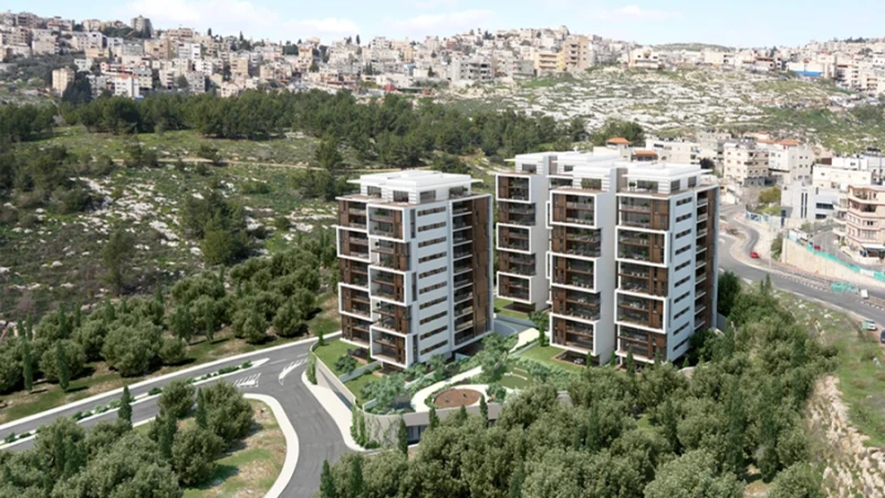 משקיפים על העמק