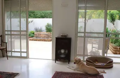 עיצוב גינה אורבאנית