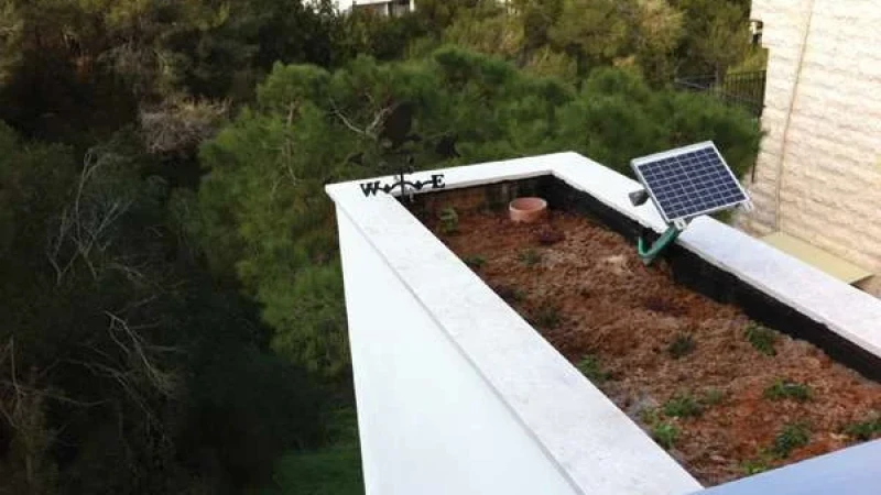 עיצוב משרד על טהרת התפיסה האקולוגית