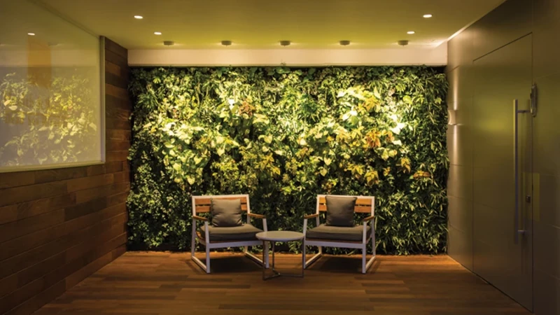 שקיפות בעבודה