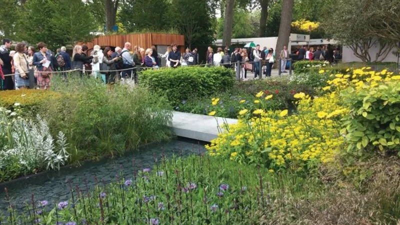 כל הירוק הזה