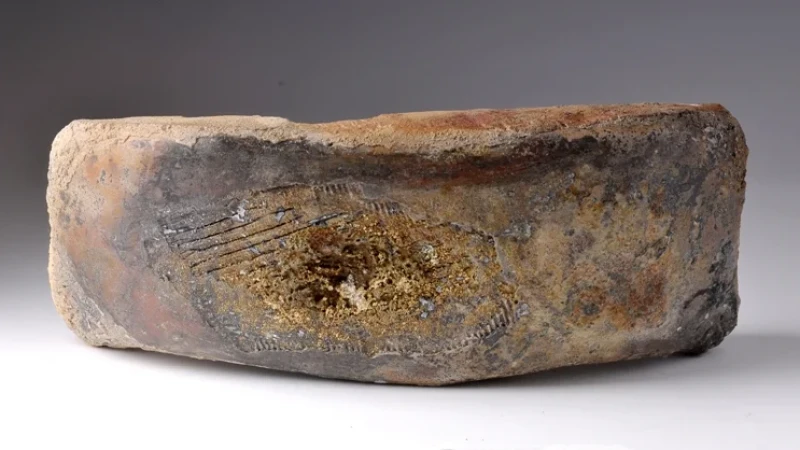 אחדות הפכים - הילדה מרום, תערוכה