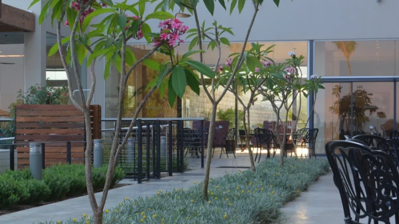 גן במלון על שפת כנרת