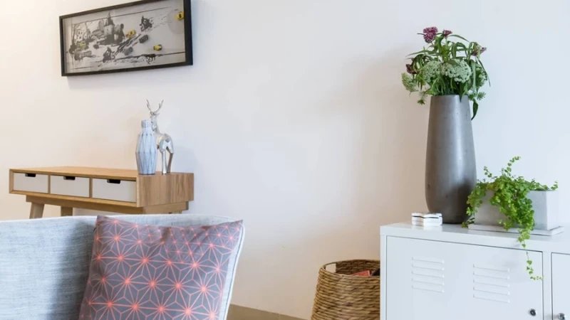 מלבישים את הבית