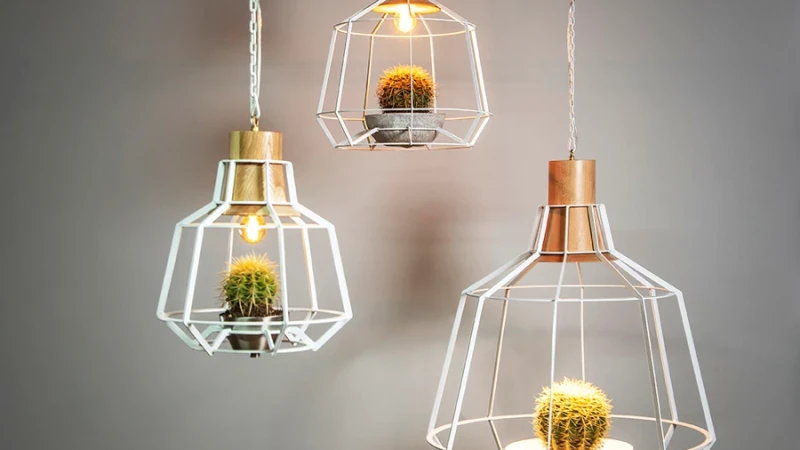 Studio Beam: מאירים את הקיץ