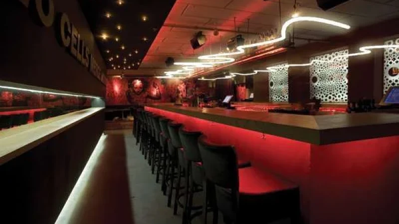 Zygota - פיק אפ בר