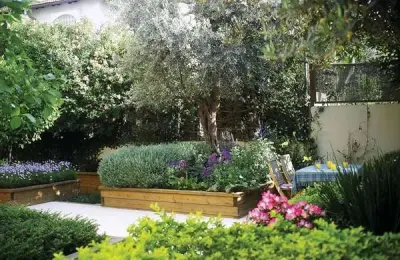 גינה חסכנית במים