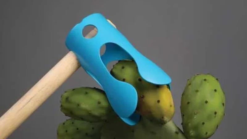 עיצוב חדש לקוטף סברס