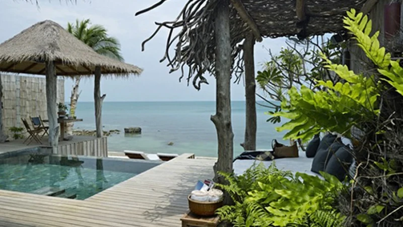 לאוהבי הלגונות