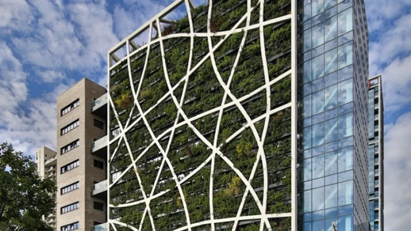 בצמיחה מתמדת