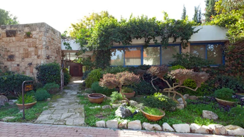 כחול הוא הצבע שלי