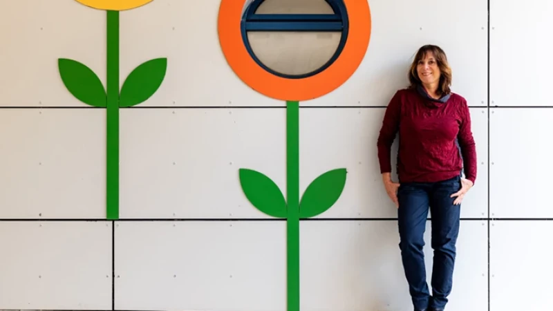 צעצוע של גן