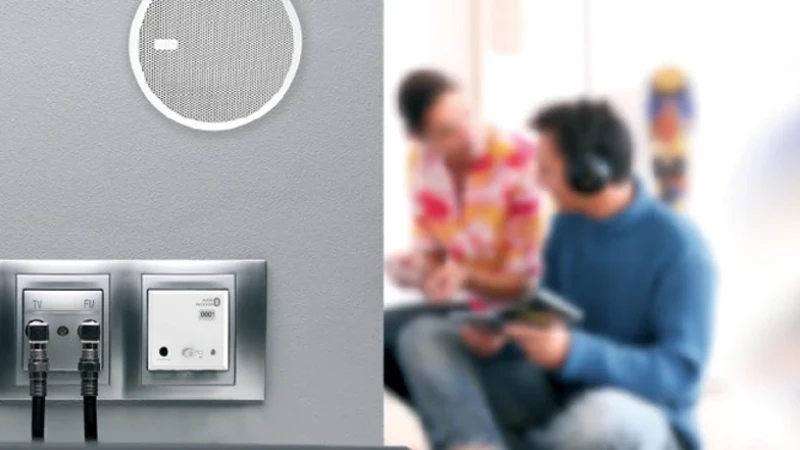 מפסקי חשמל - שלמות במסגרת