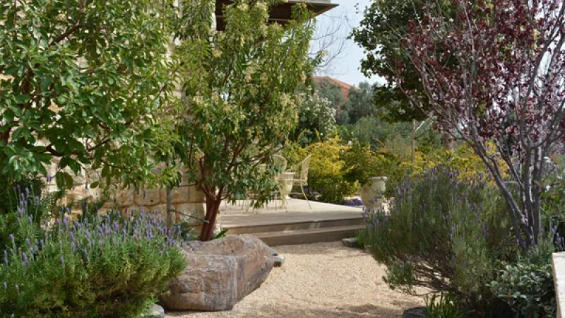 האביב כבר כאן