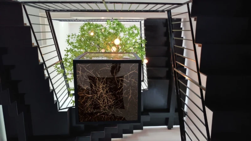 אדונית החוויות