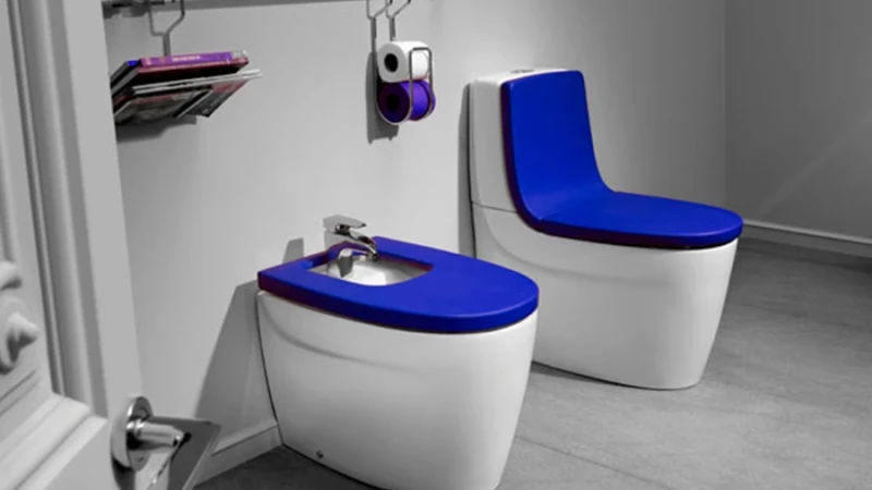 אסלות מעוצבות- אל תגידו שלא ידעתם !