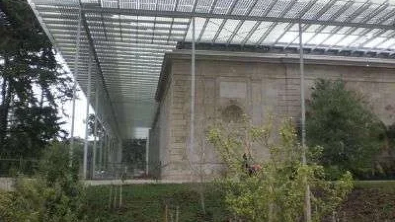 סדר יום ירוק