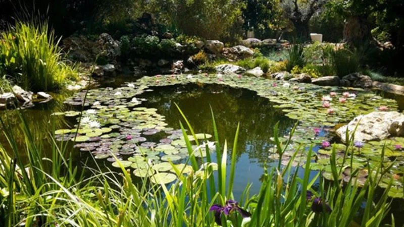 מים שקטים חודרים עמוק