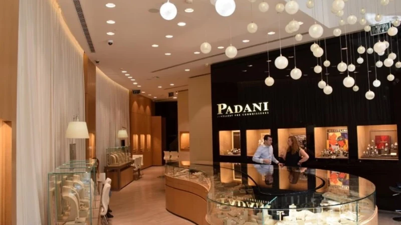 המהפך המנצנץ של פדני