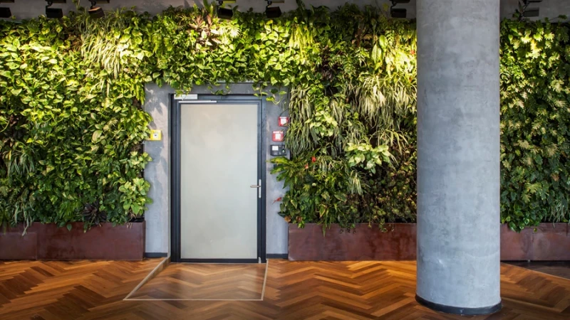 פתרון אורבני של צמחיה לגובה