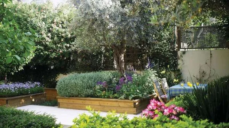 גינה חסכנית במים