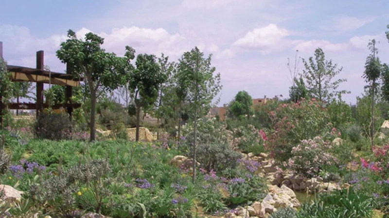 הגן כחוויית צבע