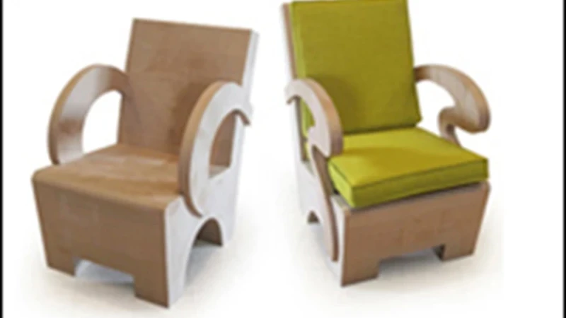 ביקורת גבולות