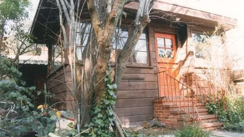 שיחה על עיצוב הבית עם לארה הדברג-דים מקימת מגזין דוול