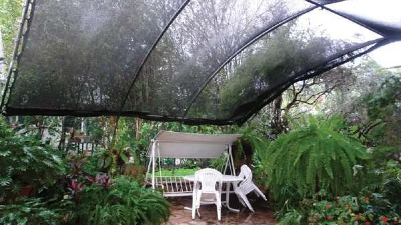 סיפורה של גינה